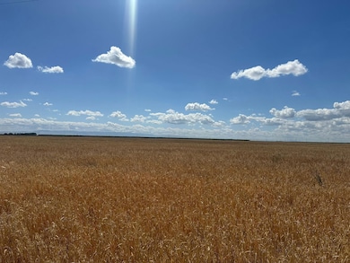 12250 S Jameson Ave, Fresno, CA 93706 - photo 2