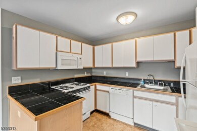 141 Falcon Ridge Way N unit 1, Hamburg, NJ 07419 - photo 6