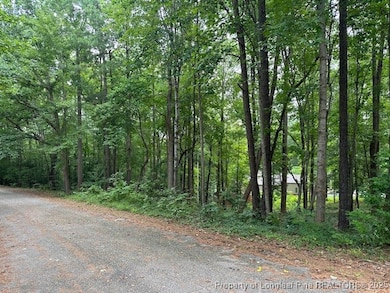 162 Woodwedge Way, Sanford, NC 27332 - photo 3