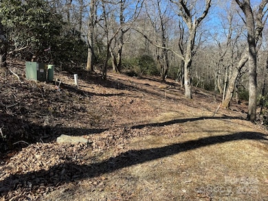 Lot 240 Thunder Wood Trail unit 240, Blowing Rock, NC 28605 - photo 2