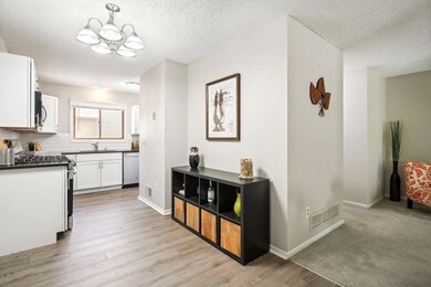 10682 Hummingbird St NW, Coon Rapids, MN 55433 - photo 3