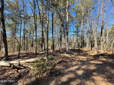 Lot 19 Mountain Springs Rd, Milford, PA 18337 - photo 7
