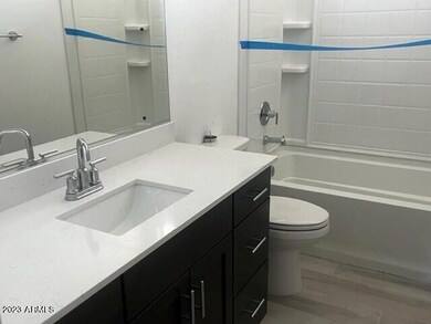 WM 298 bath