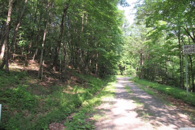 795 New Forge Rd II, Taghkanic, NY 12521 - photo 2