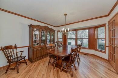 562 Bovidae Cir, Naperville, IL 60565 - photo 6