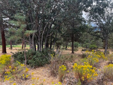 Lot 29 Siskin Ln, Klamath Falls, OR 97601 - photo 7