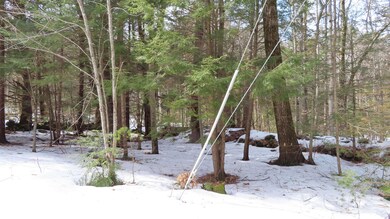 47 Juniper Ridge Rd, Gilford, NH 03249 - photo 7