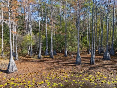 0 Tram Rd unit 393471, Tallahassee, FL 32311 - photo 7