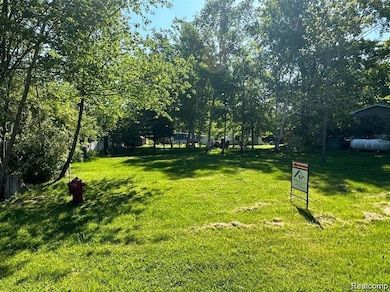 Back view of the yard