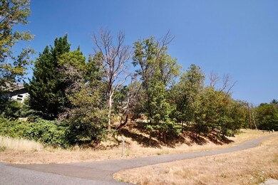 2024 NW Sunview Place, Grants Pass, OR 97526 - photo 5