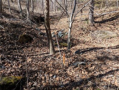 Survey marker looking onto neighbors land.