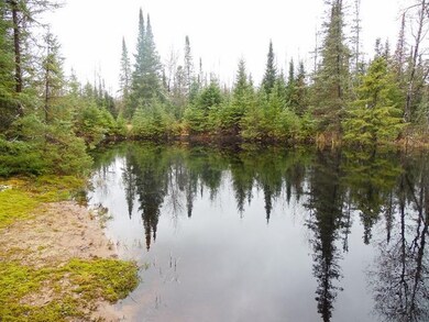 W8645 Wilson School Rd, Tomahawk, WI 54487 - photo 2