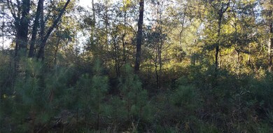 0 Crossroads unit 77122125, Splendora, TX 77372 - photo 3