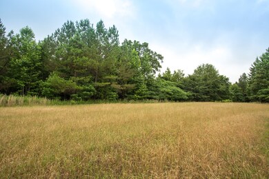 115 Baudy James Rd, Cedar Grove, TN 38321 - photo 5