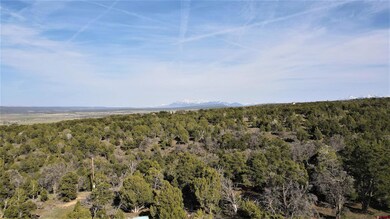 10 N Reserve Dr, Norwood, CO 81423 - photo 6