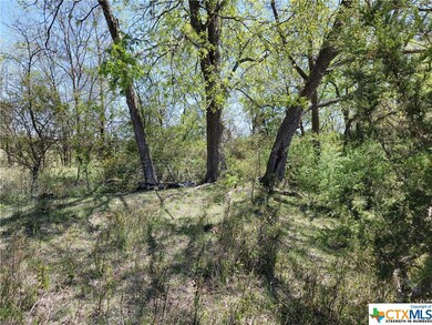 14609 Buckhorn Cemetery Rd, Moody, TX 76557 - photo 5