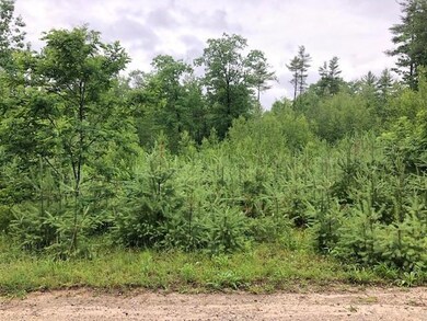 5 Justins Way, Bridgton, ME 04009 - photo 3