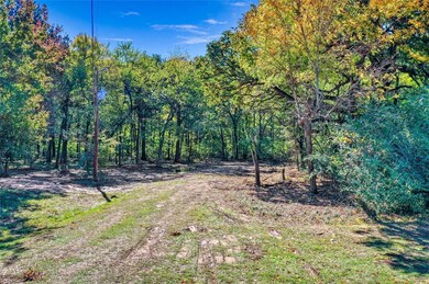 245 Bluebird Ln, Sadler, TX 76264 - photo 3