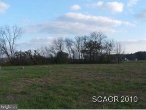 Lot 17 Donna's Ln, Dagsboro, DE 19939 - photo 5