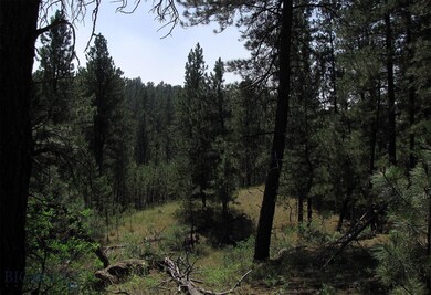 17 Bobcat Ln, Roundup, MT 59072 - photo 6