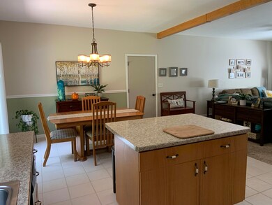 Dining Area /Kitchen