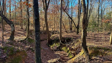 0 Oscar Walton Rd unit 24714036, Tignall, GA 30668 - photo 5