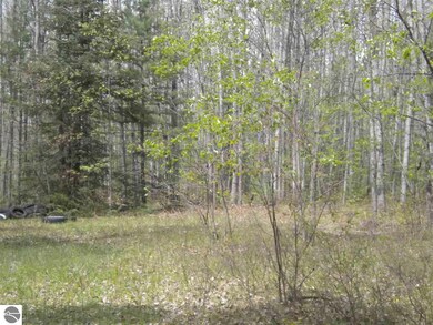 0 W Best Rd unit 18,19, Alger, MI 48610 - photo 3