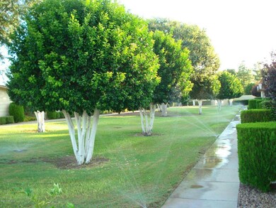 17603 N 102nd Dr, Sun City, AZ 85373 - photo 2