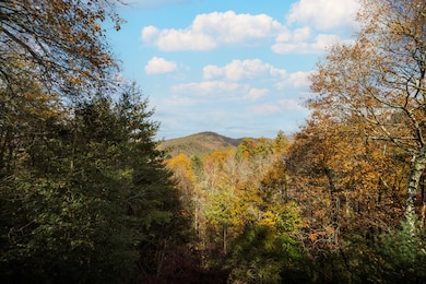 254 Aries Ln, Blue Ridge, GA 30513 - photo 3