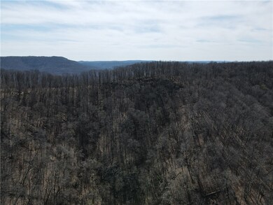 0 S Winfrey Valley Rd unit 1243483, Winslow, AR 72959 - photo 3