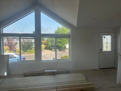Living room windows