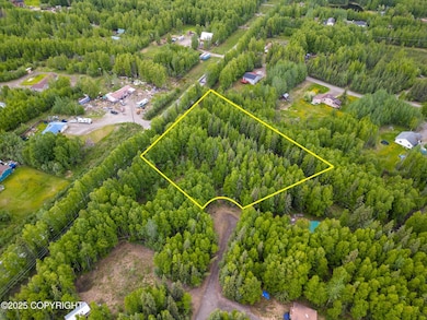 Drone View