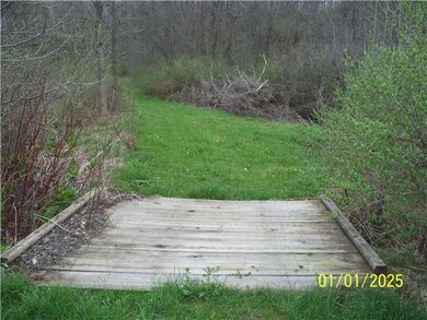 Other bridge to trails