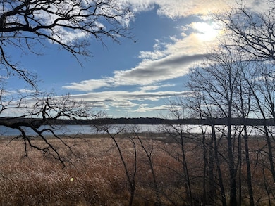 Tbd Leaf River Rd, Ottertail, MN 56571 - photo 4