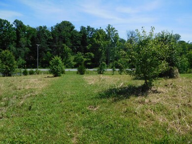 Lot 3 Whitfield Rear