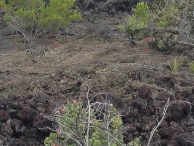 Lot 6 Block 334 is in Lava Zone 2 & Flood Zone X