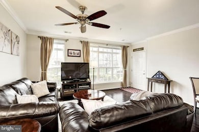 22789 Settlers Trail Terrace, Ashburn, VA 20148 - photo 5