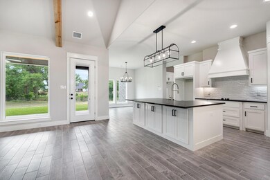 1008 Hennesay Park, Springtown, TX 76082 - photo 7