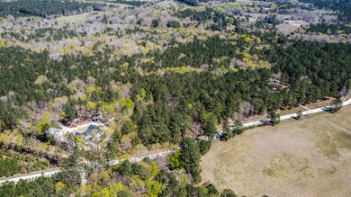 0 Piney Woods Rd unit 513538, Lincolnton, GA 30817 - photo 3