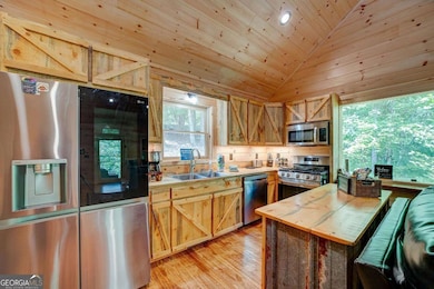 108 Crabapple Ln, Mineral Bluff, GA 30559 - photo 6