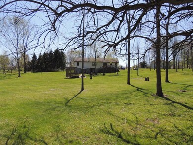 Back yard view