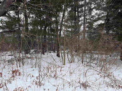 2007 Bloedel Ave, Weston, WI 54476 - photo 2