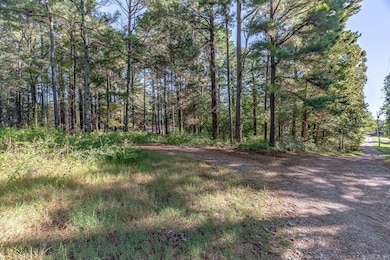 102 Greene 716 Rd, Paragould, AR 72450 - photo 2