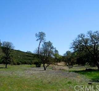 The meadow on lot 5.
