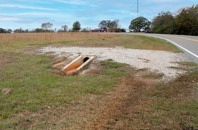 Lt 2 -TBD Fm 1892, Frankston, TX 75763 - photo 4