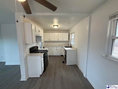 1723 Bloomfield Rd, Cheraw, SC 29520 - photo 5