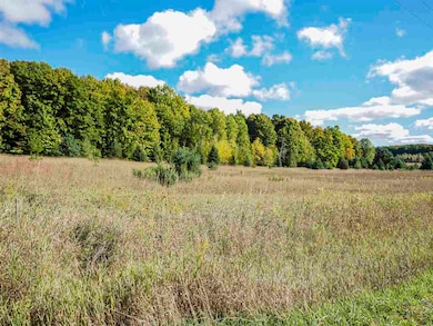 TBD Jaquay Rd, Boyne City, MI 49712 - photo 2