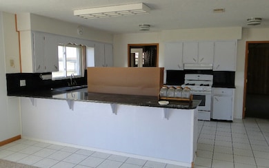 2078 SW Wilson Springs Rd, Fort White, FL 32038 - photo 2
