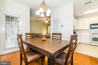 46604 Ellicott Square unit 201, Sterling, VA 20165 - photo 6