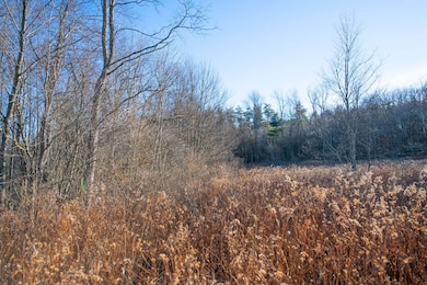 0 Clark Rd Lot 6, Masonville, NY 13839 - photo 7